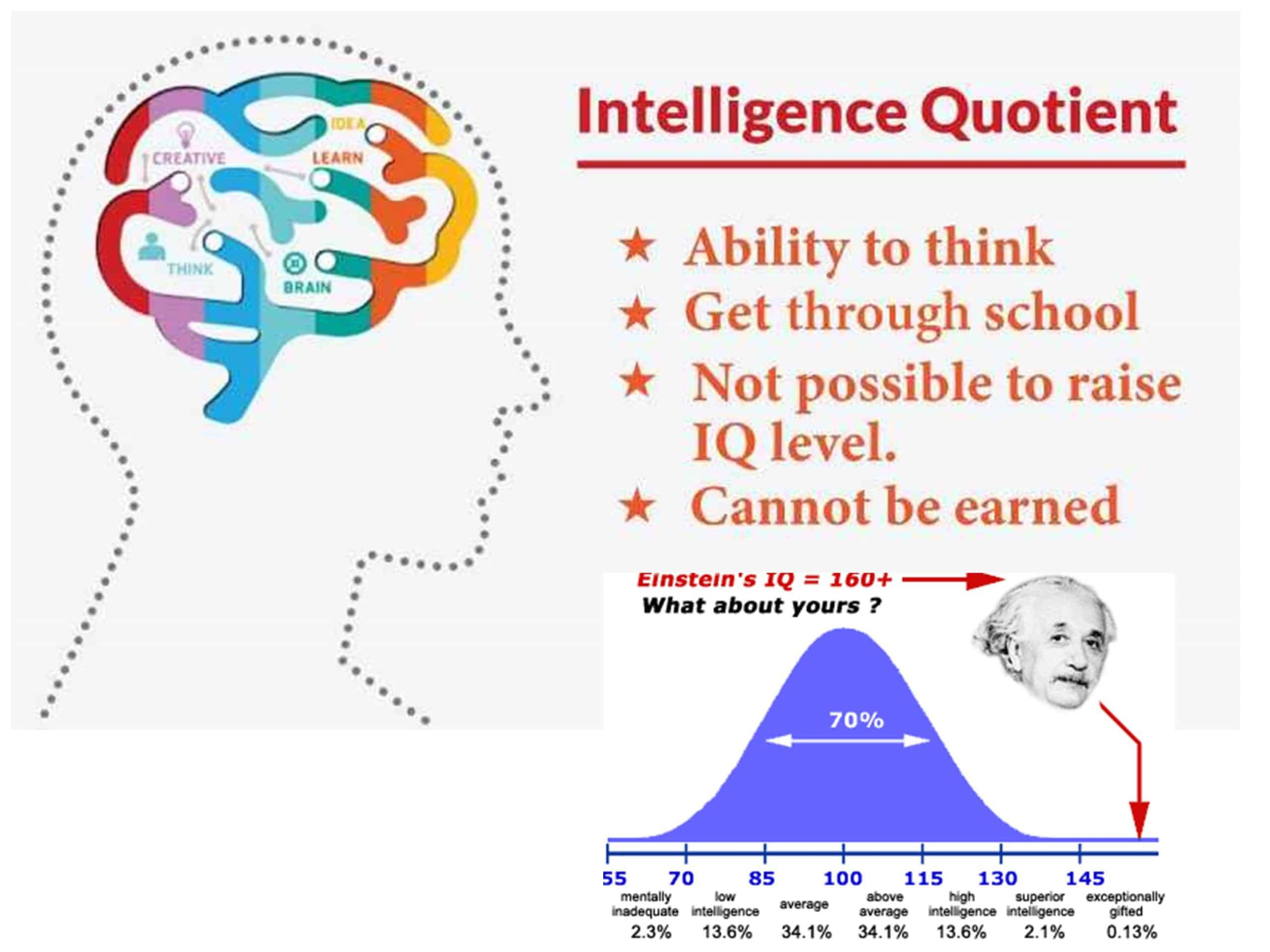 what is IQ
