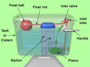 mechanism of a toilet flush