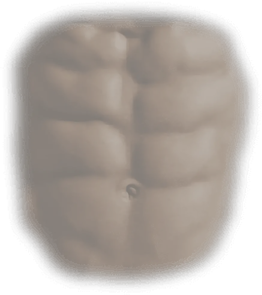 abs png, six pack png, 6 pack png, six pack body png, png six pack, abs png transparent, 6 apps body png, six pack abs png hd download
