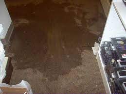 basement carpet floded