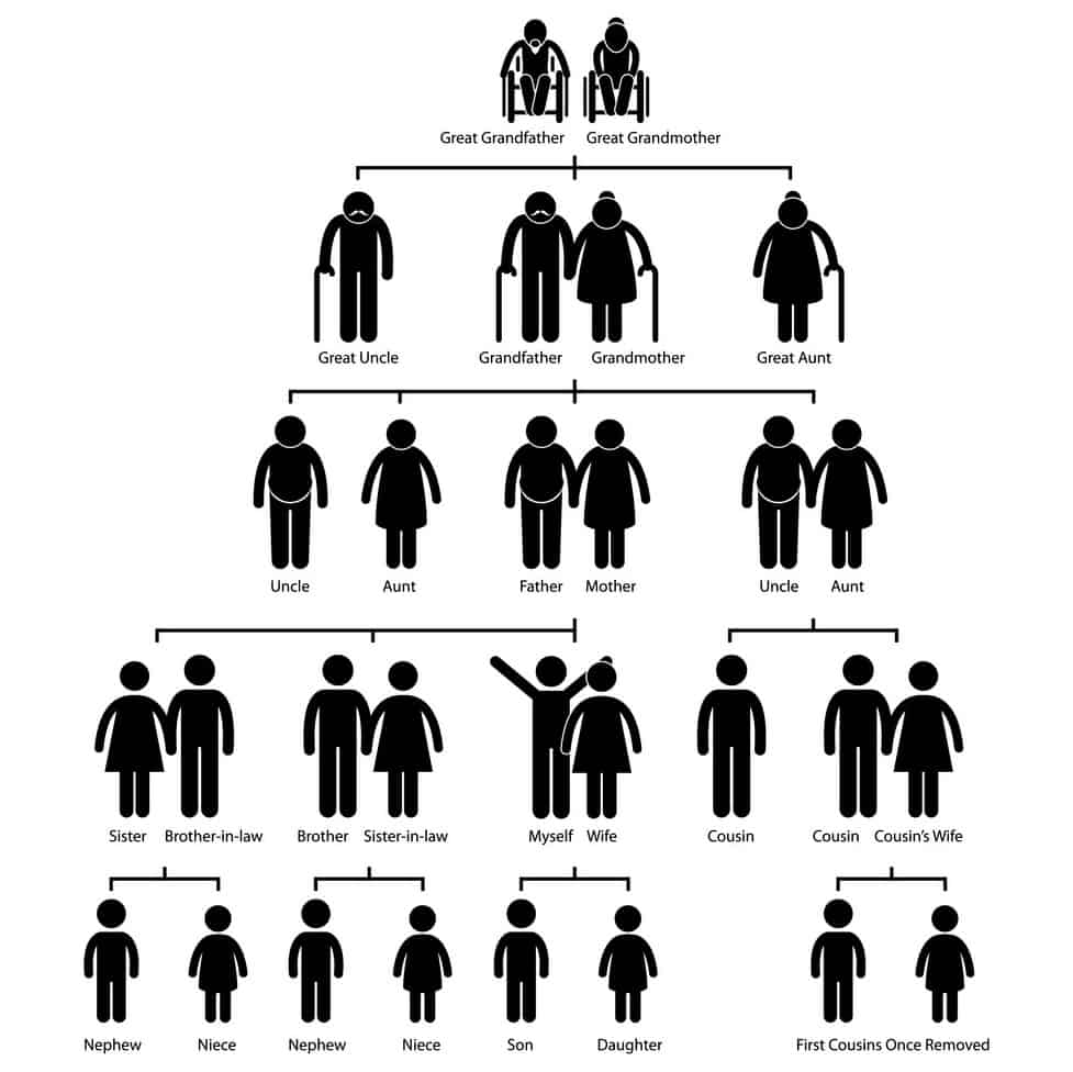 Family tree genealogy diagram