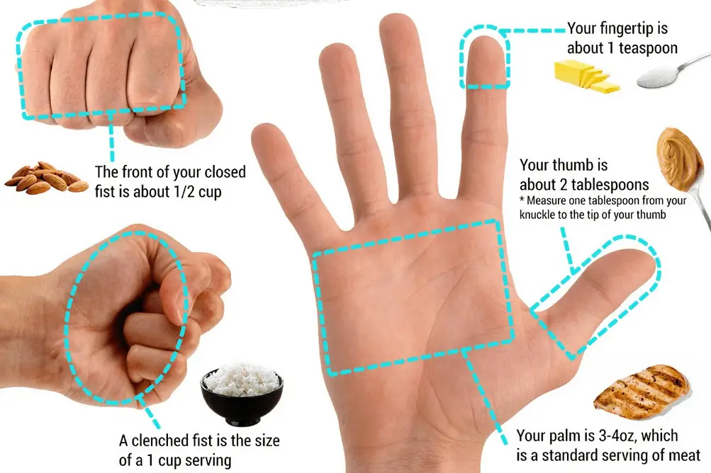 how to measure portion size using your hands