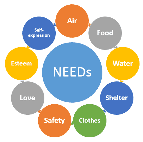 what are needs