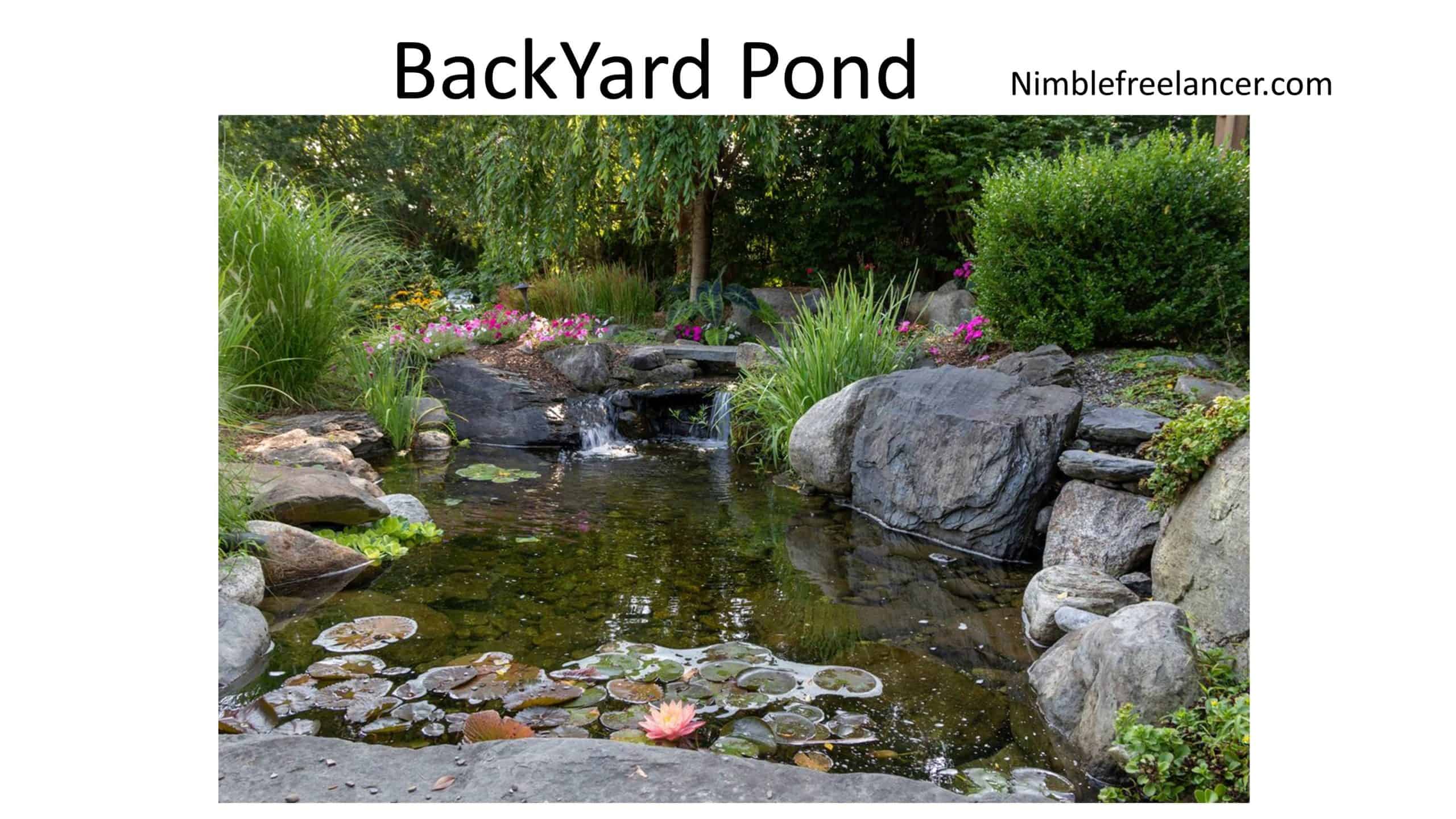 backyard pond example