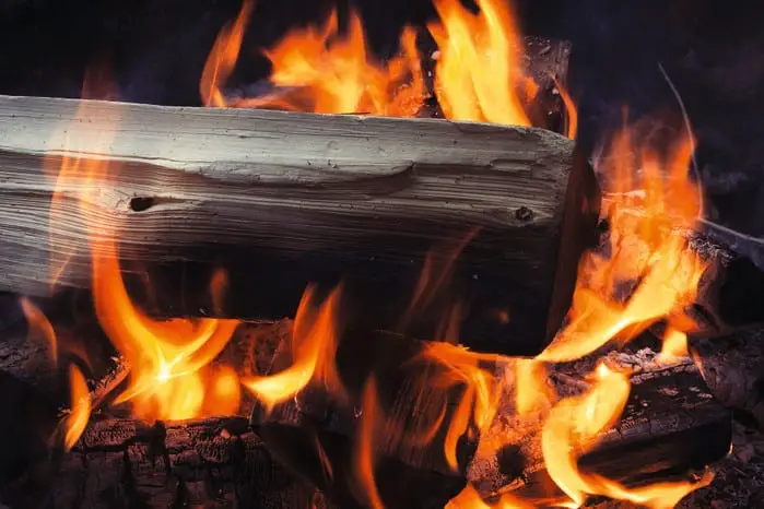 cleanest wood to burn