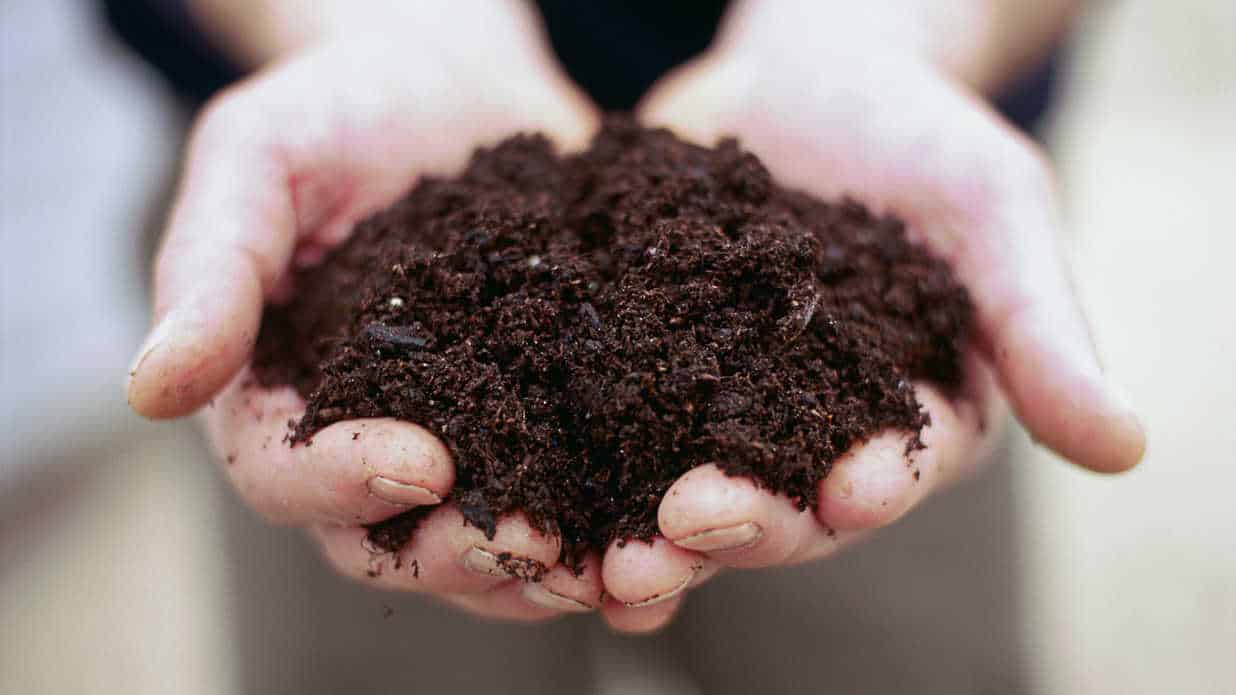 soil in hands